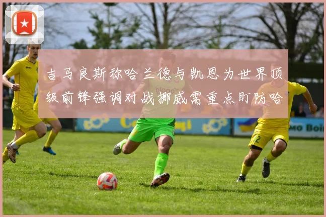 吉马良斯称哈兰德与凯恩为世界顶级前锋强调对战挪威需重点盯防哈兰德